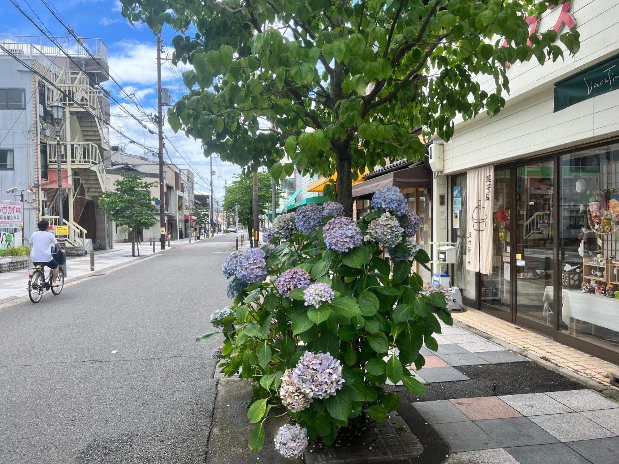 京都市 Kyomachiya Daitokujiヴィラ エクステリア 写真